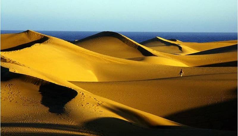 Les Dunes de Maspalomas