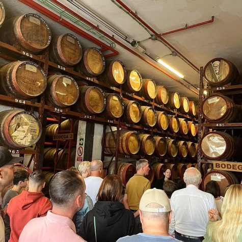 Visite Premium : Huile, Olives, Rhum & Bananes