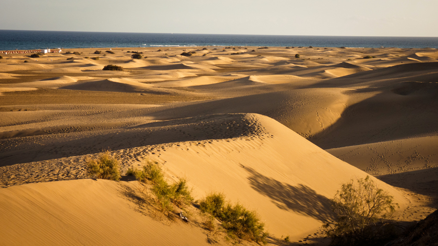 Les Dunes De Maspalomas